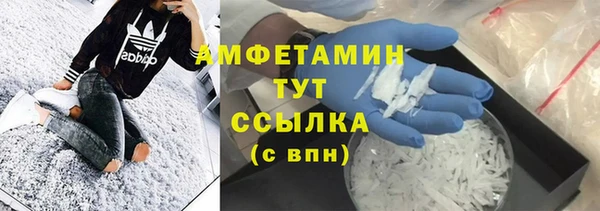 молекула духа Заволжье
